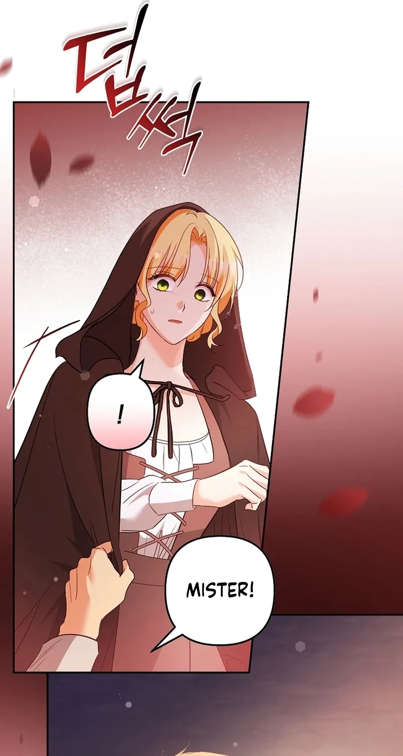 I Want a Divorce, Please Stop Obsessing Over Me! Chapter 32 page 67 - 
