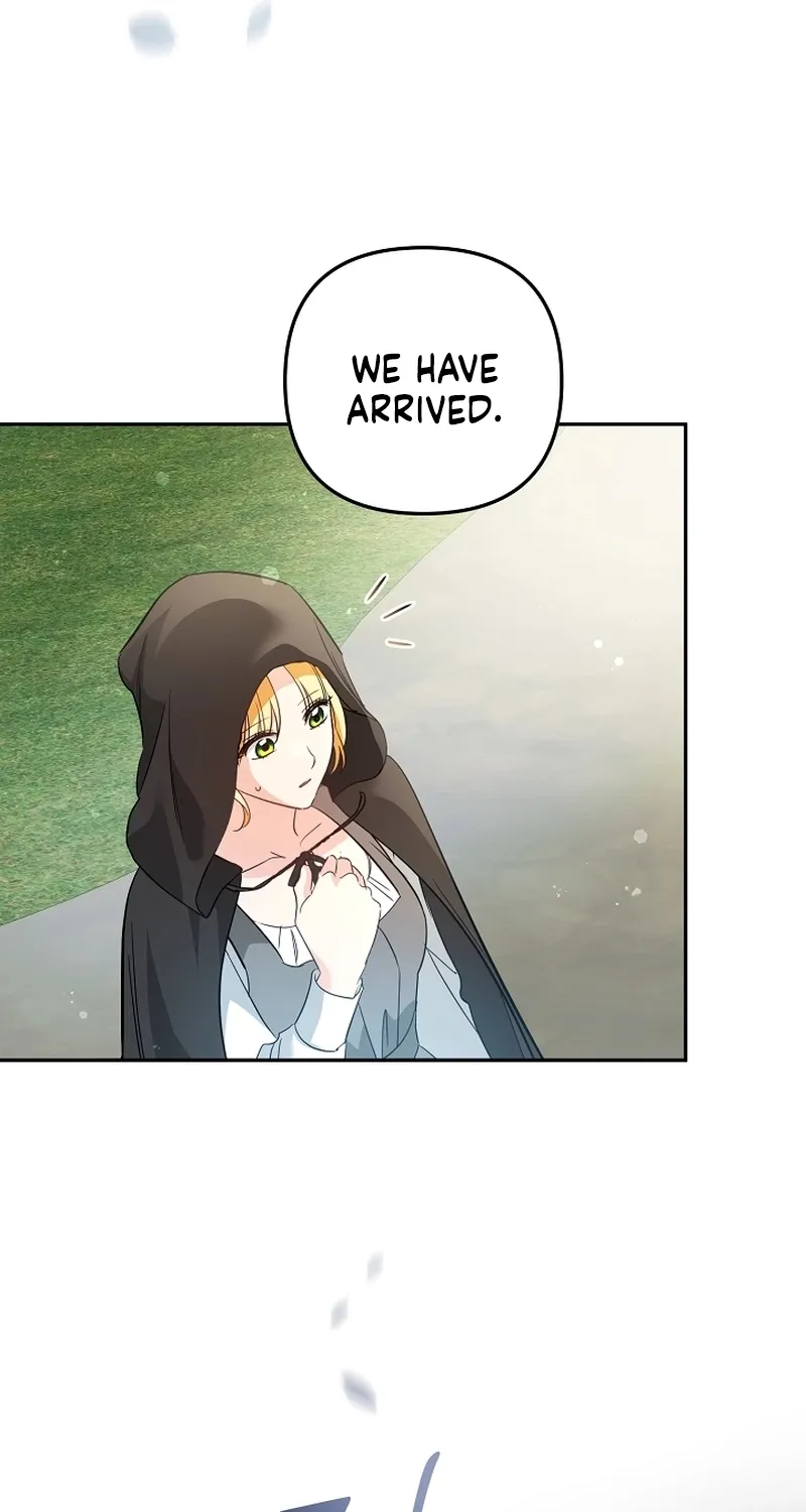 I Want a Divorce, Please Stop Obsessing Over Me! Chapter 32 page 75 - 