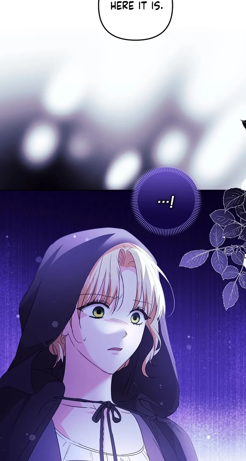 I Want a Divorce, Please Stop Obsessing Over Me! Chapter 32 page 85 - 