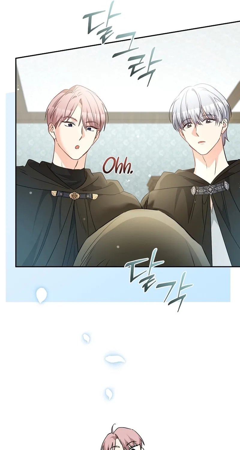 I Want a Divorce, Please Stop Obsessing Over Me! Chapter 34 page 27 - 