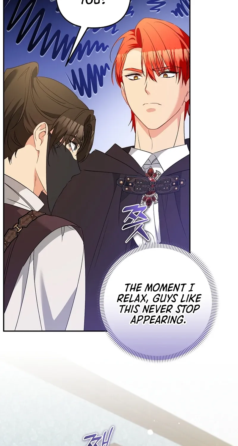 I Want a Divorce, Please Stop Obsessing Over Me! Chapter 35 page 25 - 