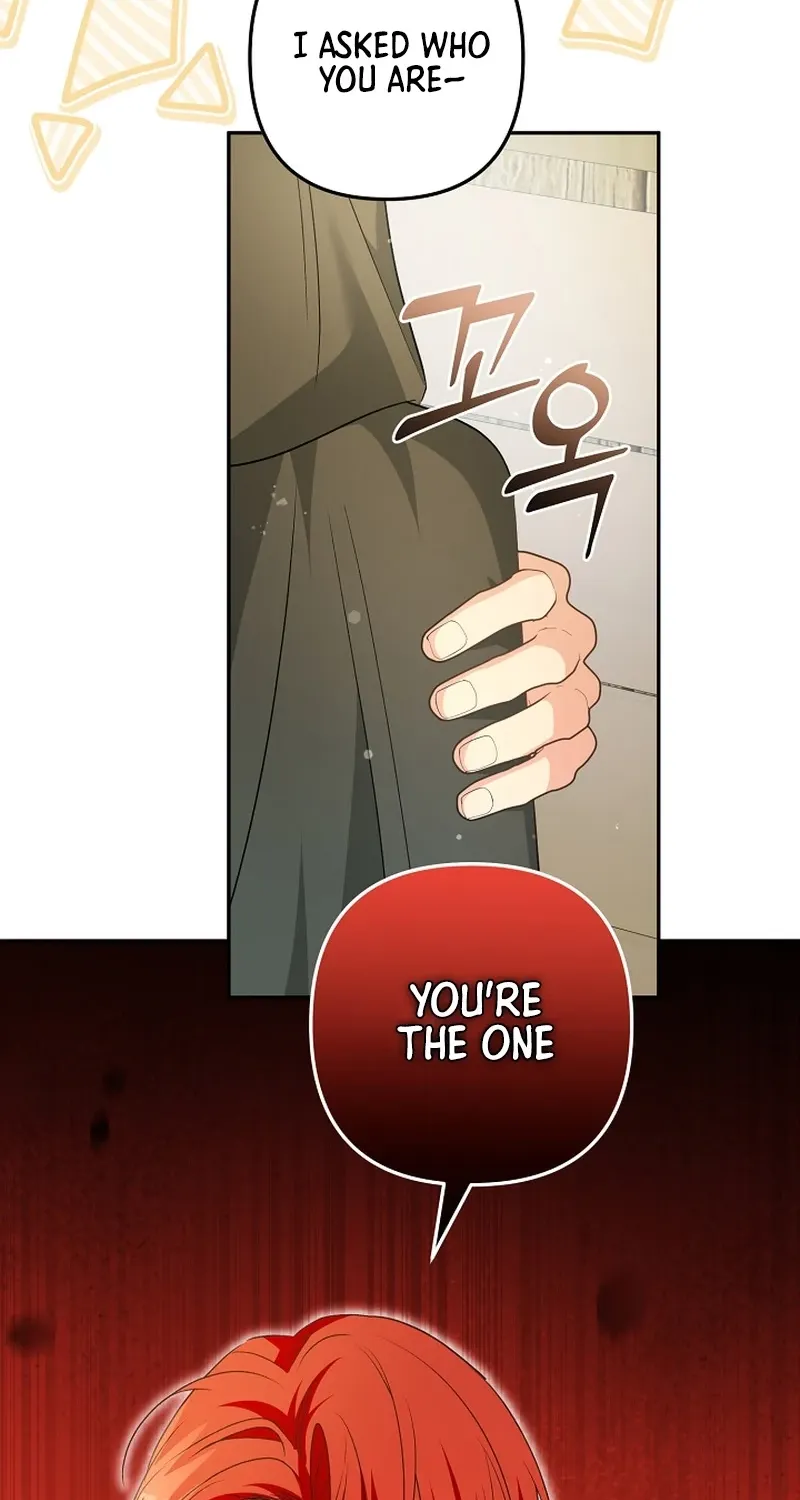 I Want a Divorce, Please Stop Obsessing Over Me! Chapter 35 page 28 - 