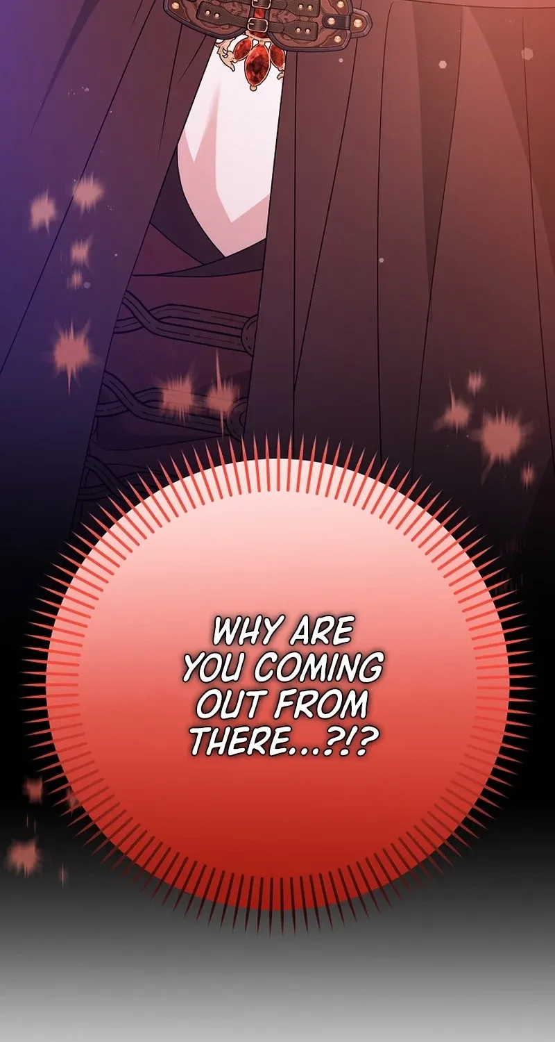 I Want a Divorce, Please Stop Obsessing Over Me! Chapter 35 page 5 - 