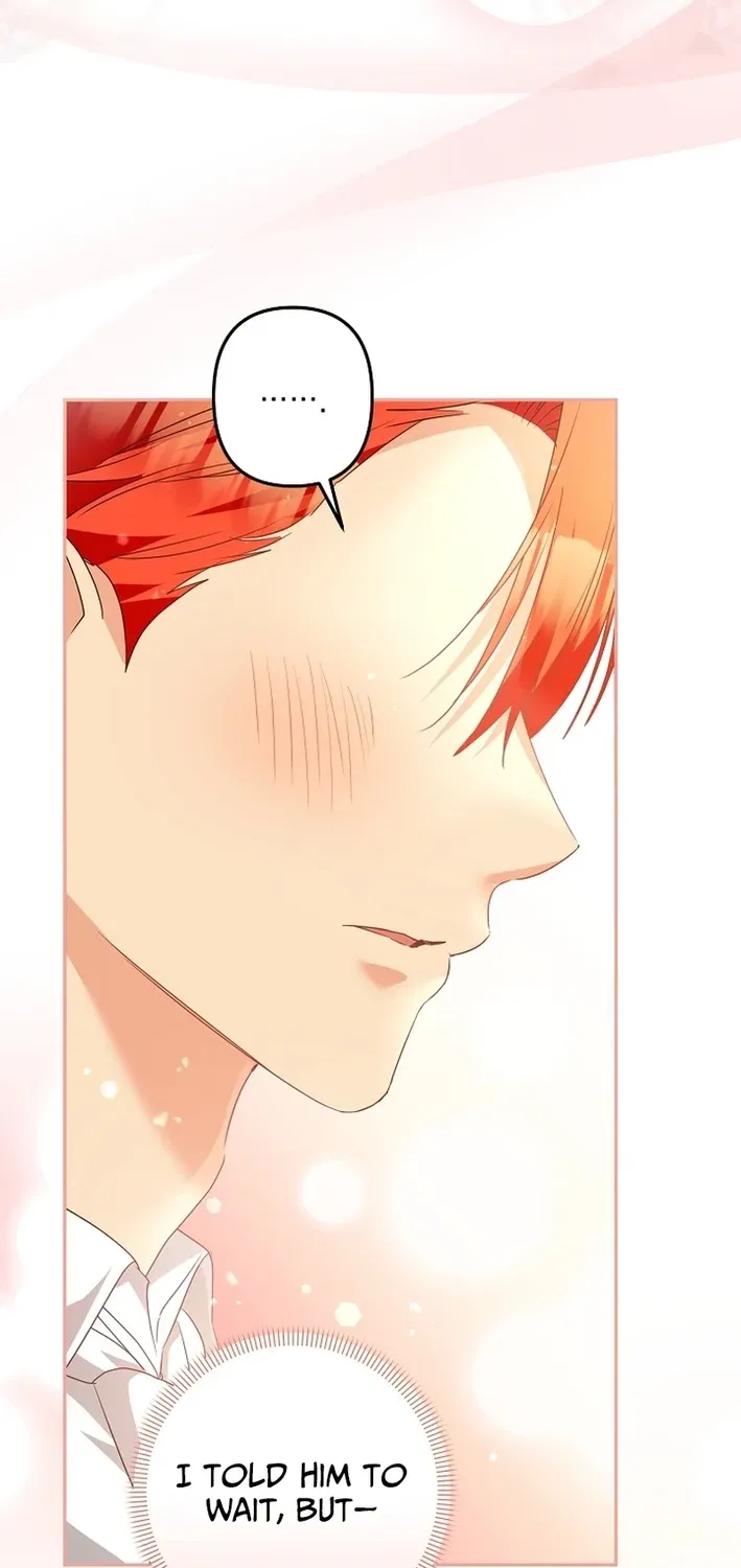 I Want a Divorce, Please Stop Obsessing Over Me! Chapter 36 page 13 - 