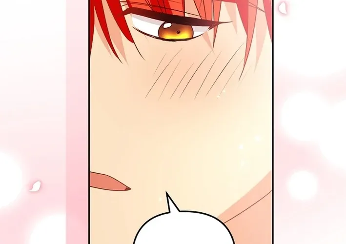I Want a Divorce, Please Stop Obsessing Over Me! Chapter 36 page 44 - 