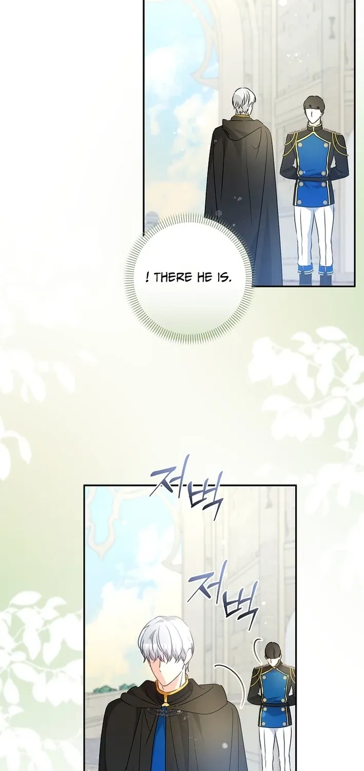 I Want a Divorce, Please Stop Obsessing Over Me! Chapter 37 page 27 - 