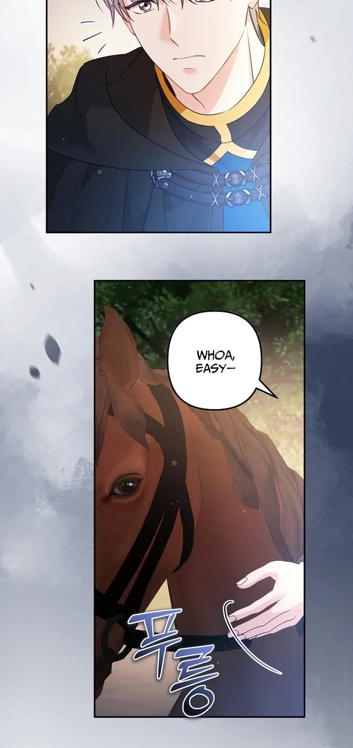 I Want a Divorce, Please Stop Obsessing Over Me! Chapter 37 page 41 - 