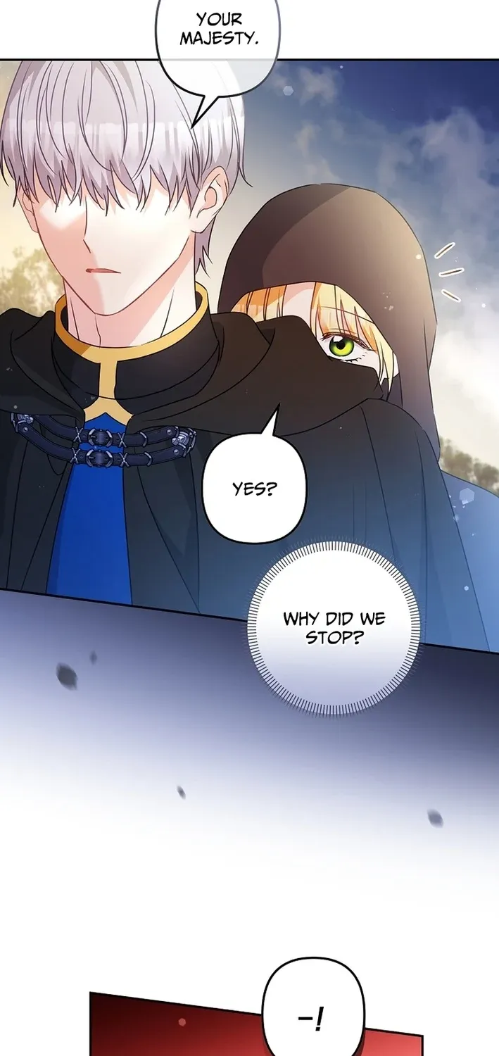 I Want a Divorce, Please Stop Obsessing Over Me! Chapter 37 page 43 - 