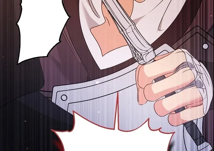 I Want a Divorce, Please Stop Obsessing Over Me! Chapter 37 page 72 - 