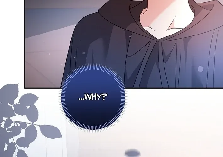 I Want a Divorce, Please Stop Obsessing Over Me! Chapter 38 page 24 - 