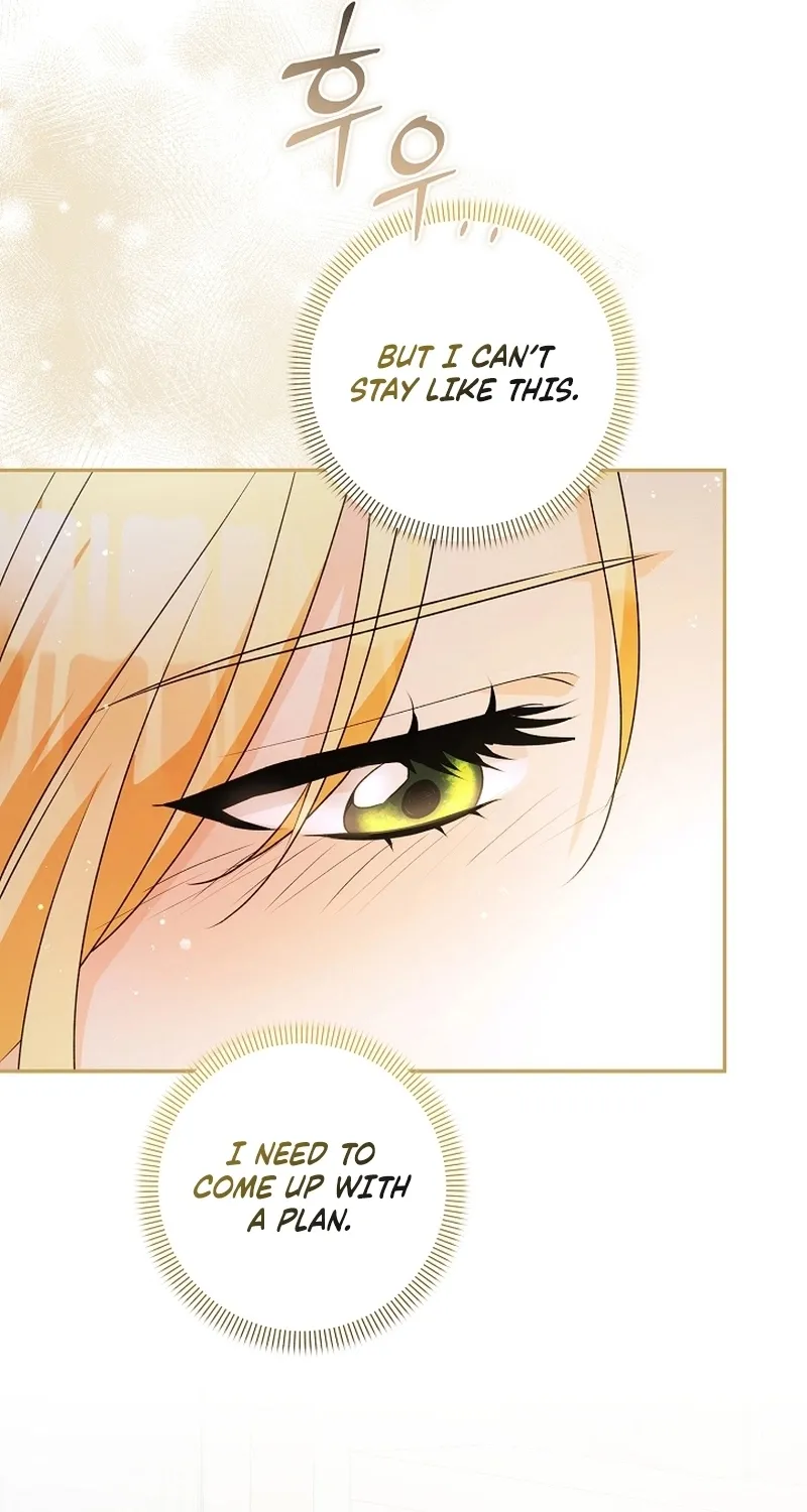 I Want a Divorce, Please Stop Obsessing Over Me! Chapter 4 page 112 - 