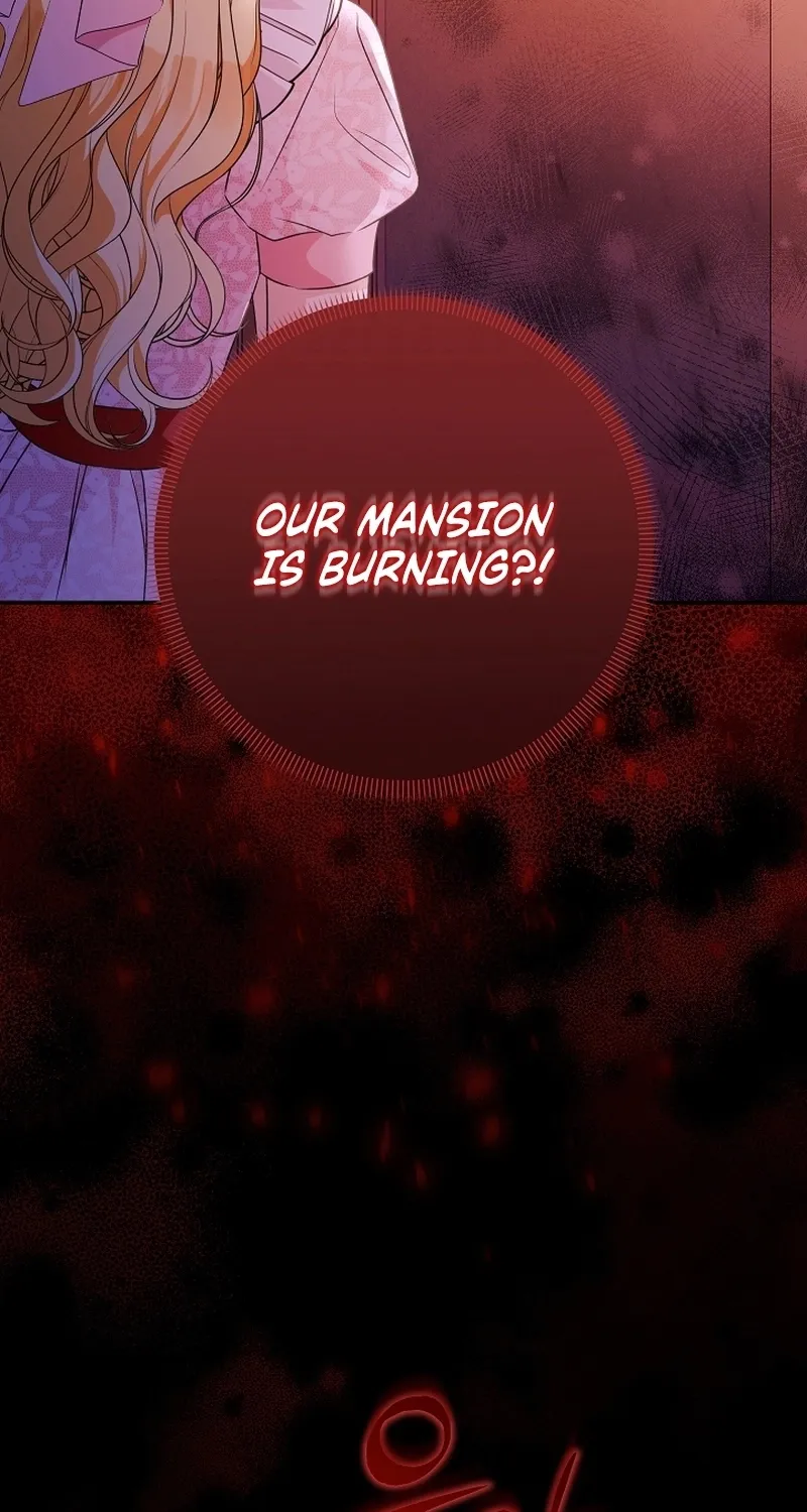 I Want a Divorce, Please Stop Obsessing Over Me! Chapter 4 page 5 - 
