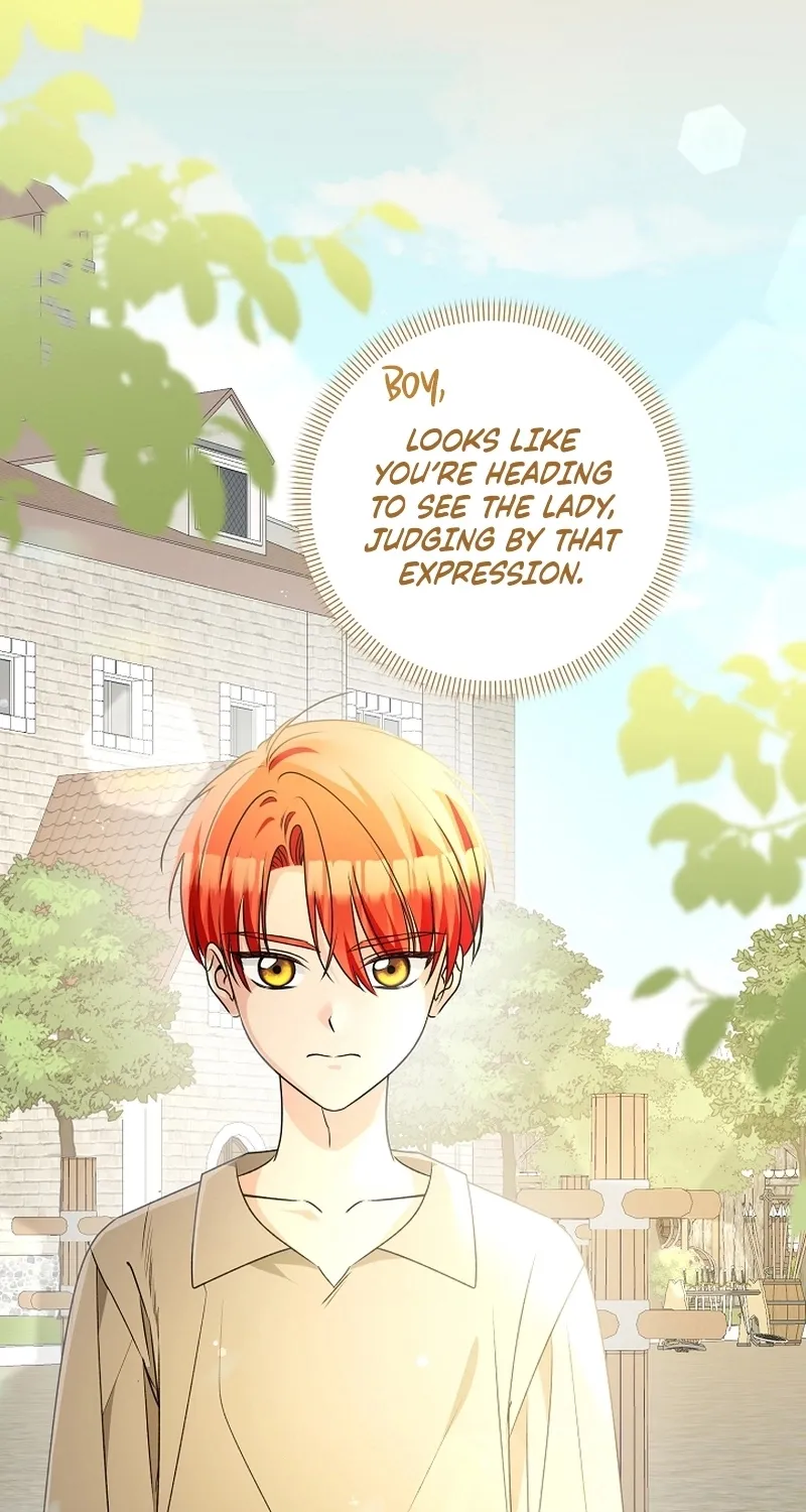 I Want a Divorce, Please Stop Obsessing Over Me! Chapter 4 page 97 - 