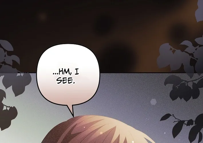 I Want a Divorce, Please Stop Obsessing Over Me! Chapter 40 page 4 - 