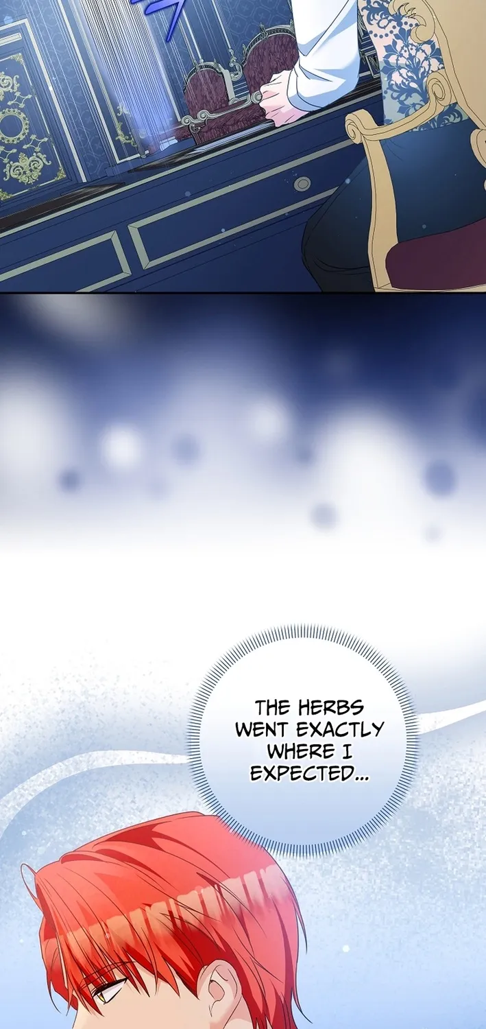 I Want a Divorce, Please Stop Obsessing Over Me! Chapter 40 page 74 - 