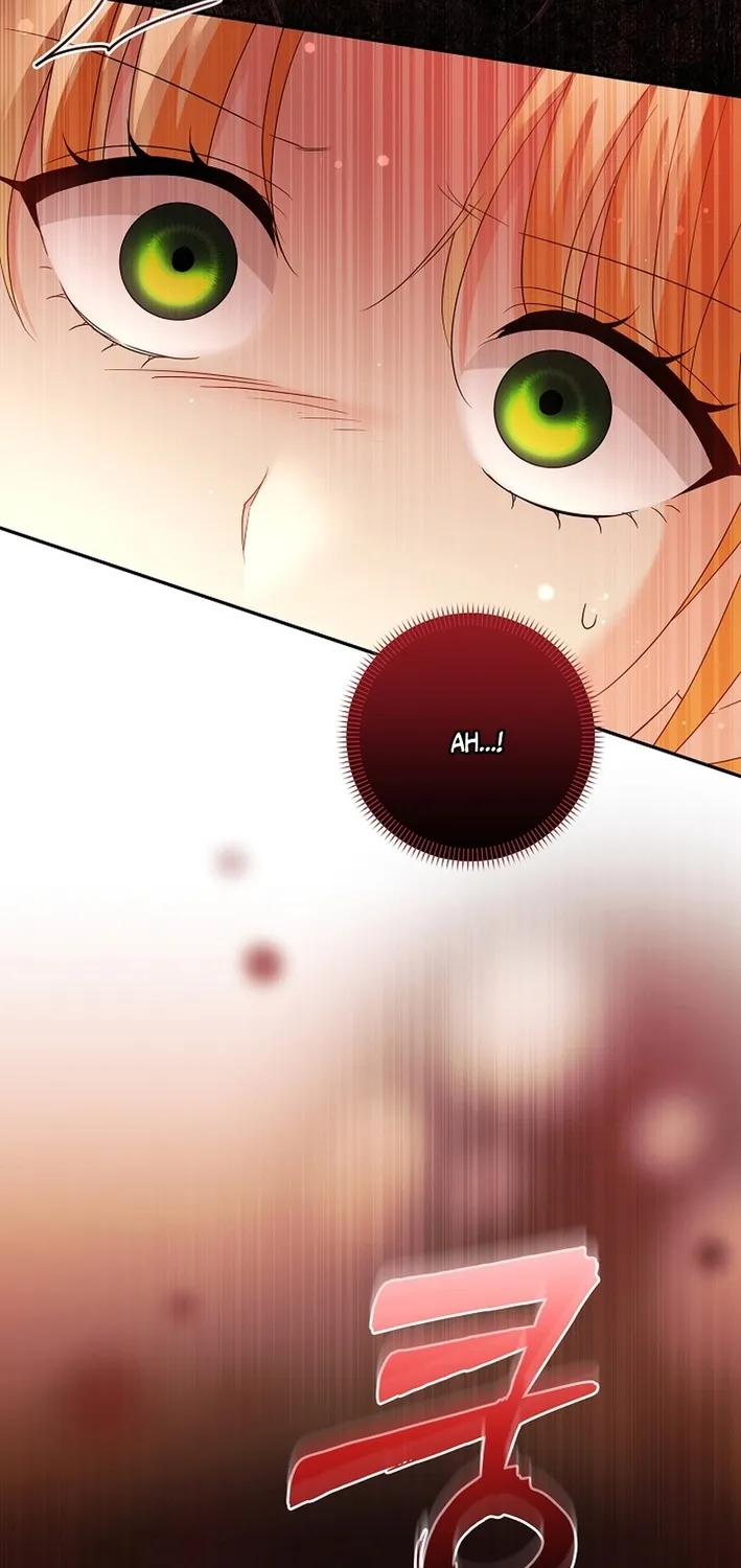 I Want a Divorce, Please Stop Obsessing Over Me! Chapter 41 page 47 - 