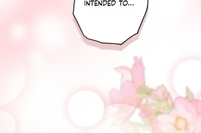 I Want a Divorce, Please Stop Obsessing Over Me! Chapter 42 page 13 - 
