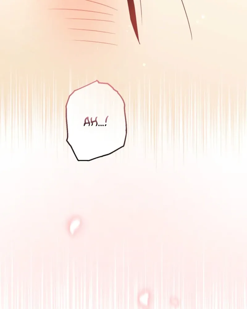 I Want a Divorce, Please Stop Obsessing Over Me! Chapter 42 page 28 - 