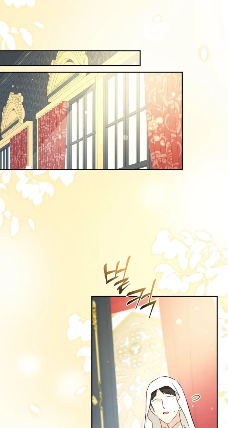 I Want a Divorce, Please Stop Obsessing Over Me! Chapter 42 page 47 - 