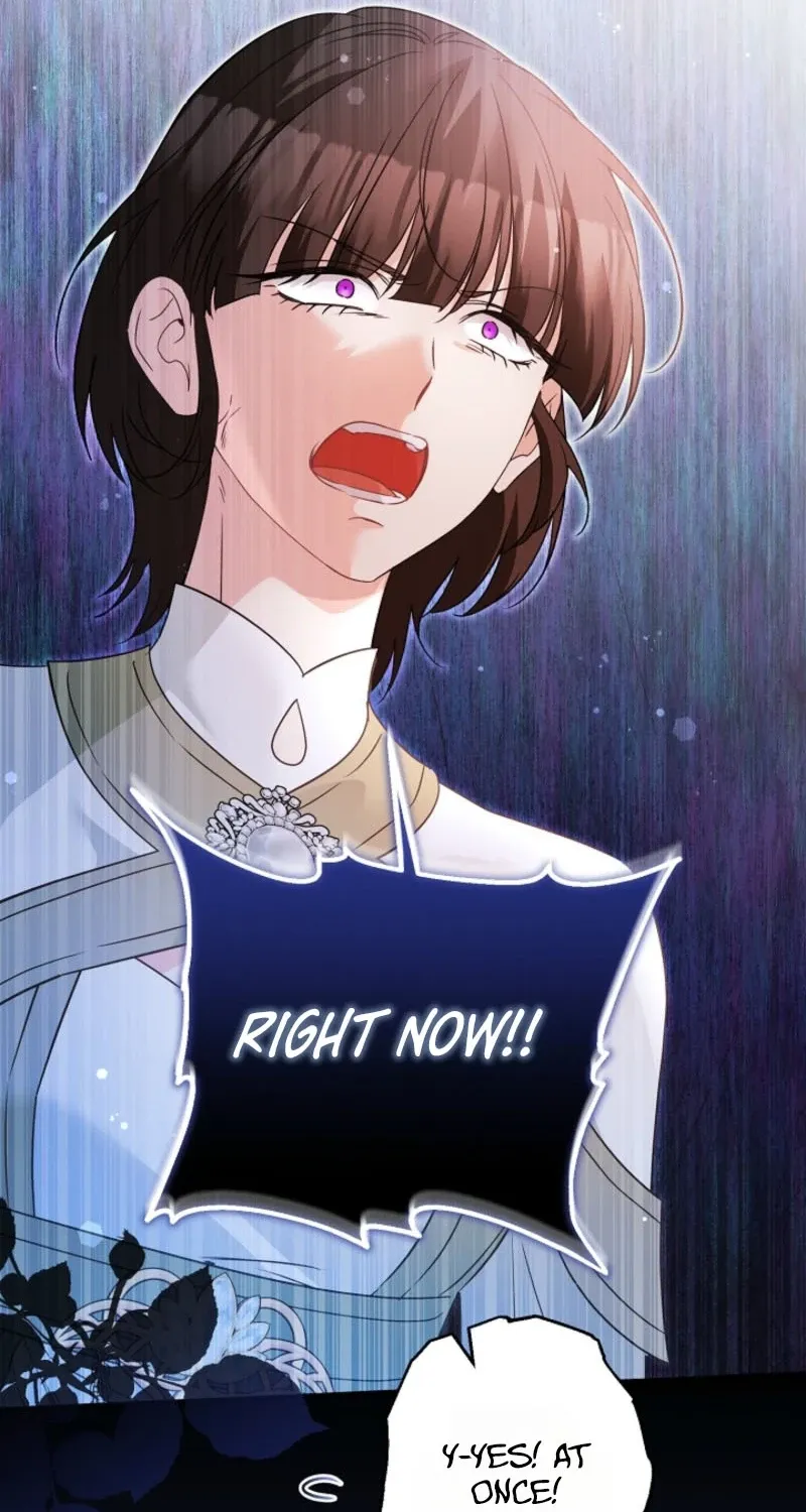 I Want a Divorce, Please Stop Obsessing Over Me! Chapter 42 page 99 - 