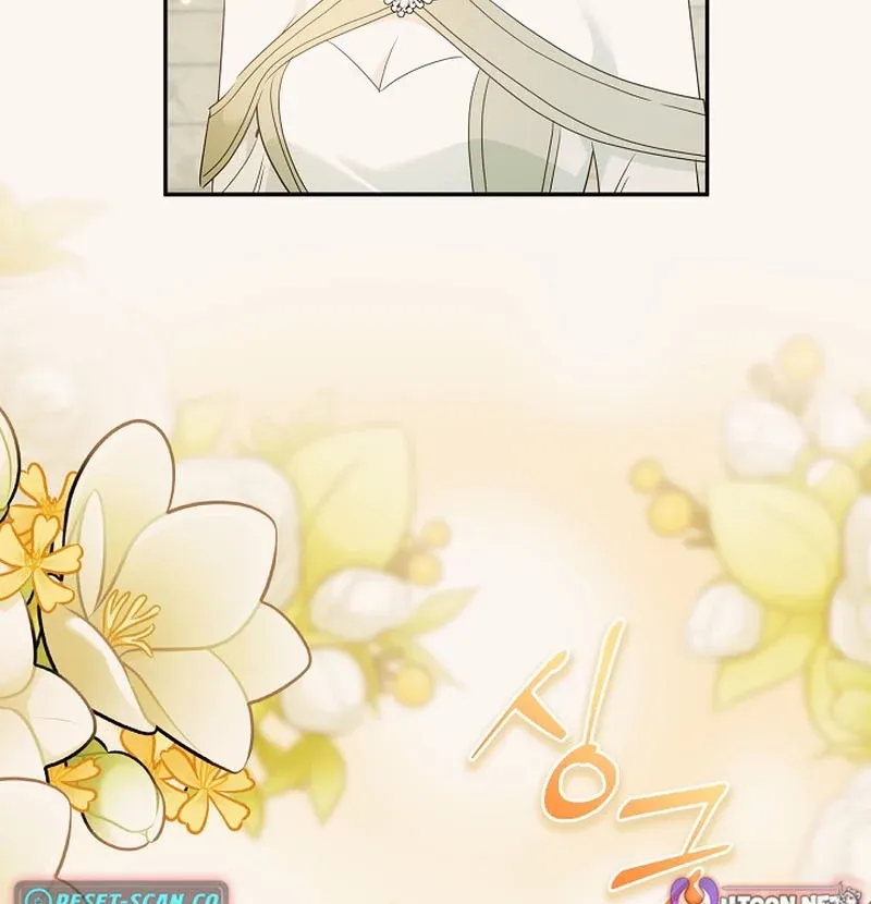 I Want a Divorce, Please Stop Obsessing Over Me! Chapter 43 page 77 - 