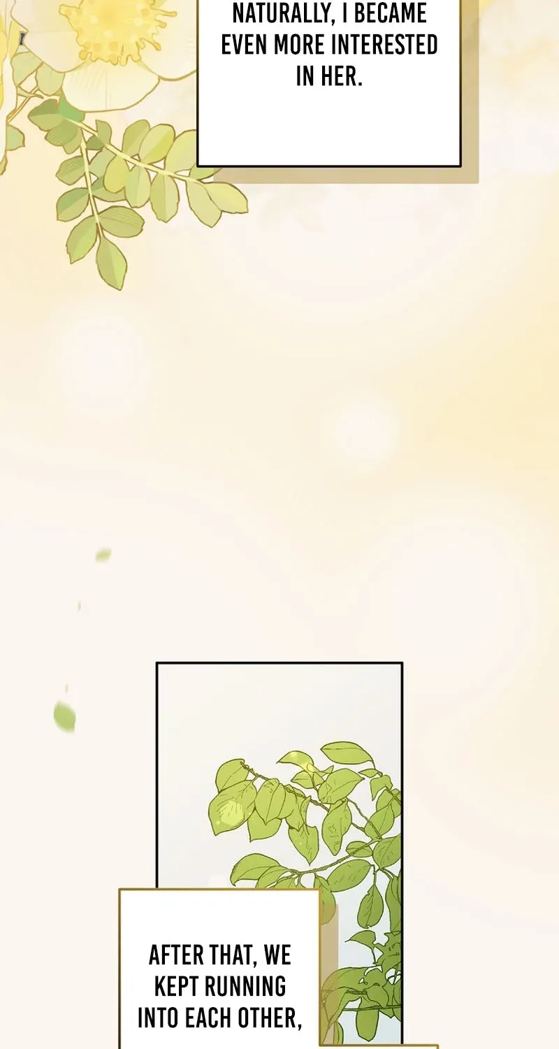 I Want a Divorce, Please Stop Obsessing Over Me! Chapter 43 page 91 - 