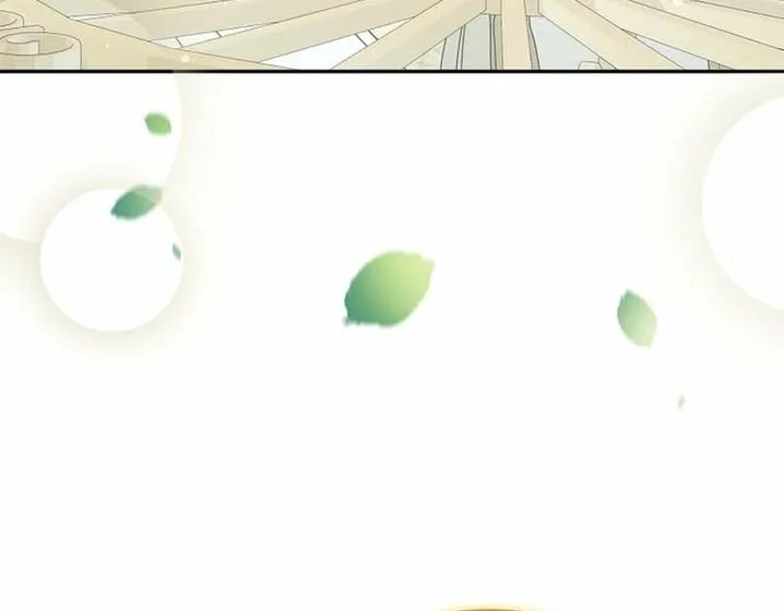 I Want a Divorce, Please Stop Obsessing Over Me! Chapter 44 page 42 - 