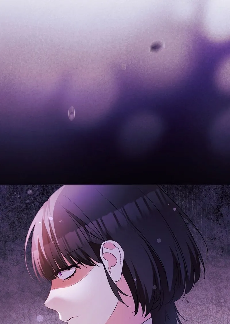 I Want a Divorce, Please Stop Obsessing Over Me! Chapter 45 page 15 - 