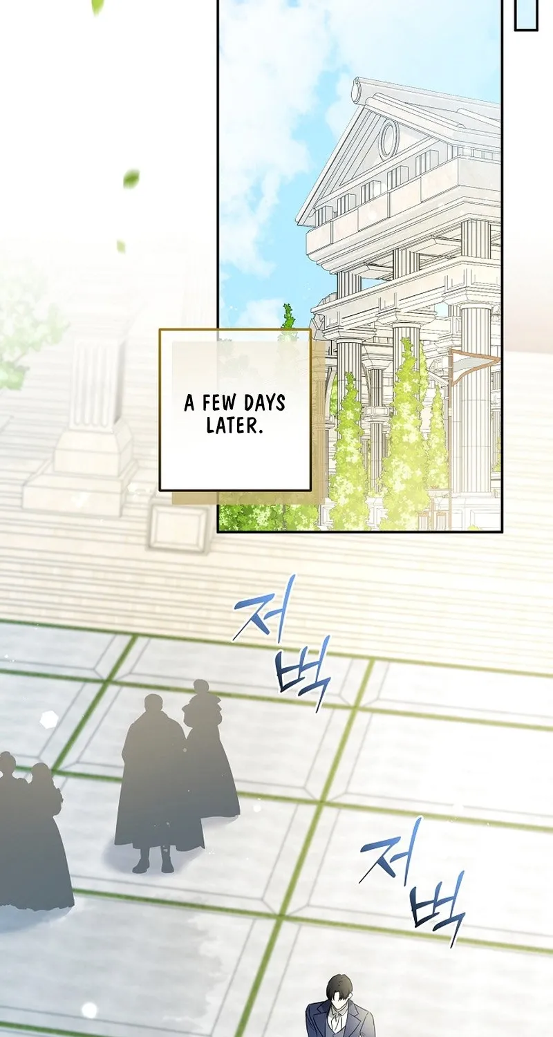 I Want a Divorce, Please Stop Obsessing Over Me! Chapter 45 page 28 - 