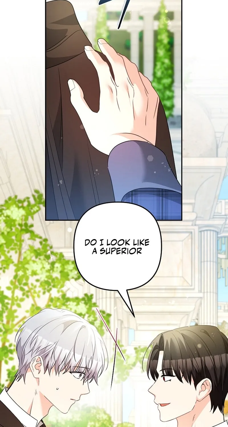 I Want a Divorce, Please Stop Obsessing Over Me! Chapter 45 page 39 - 