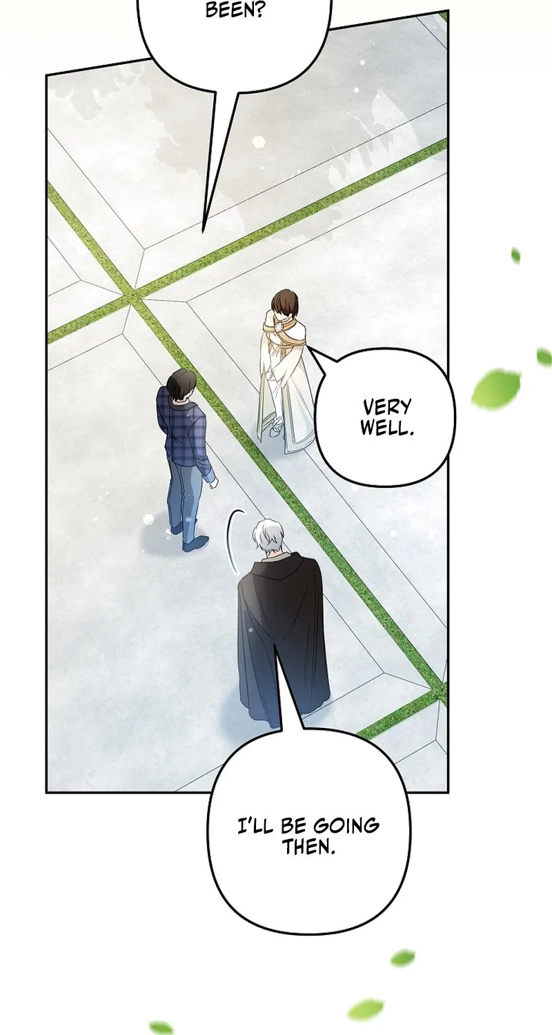 I Want a Divorce, Please Stop Obsessing Over Me! Chapter 45 page 47 - 