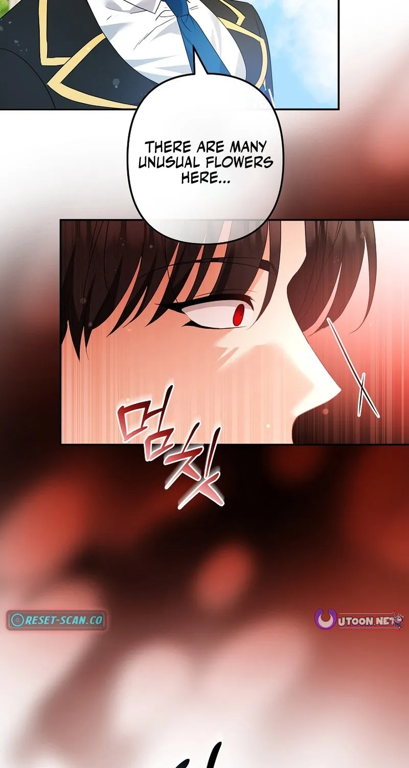 I Want a Divorce, Please Stop Obsessing Over Me! Chapter 45 page 9 - 