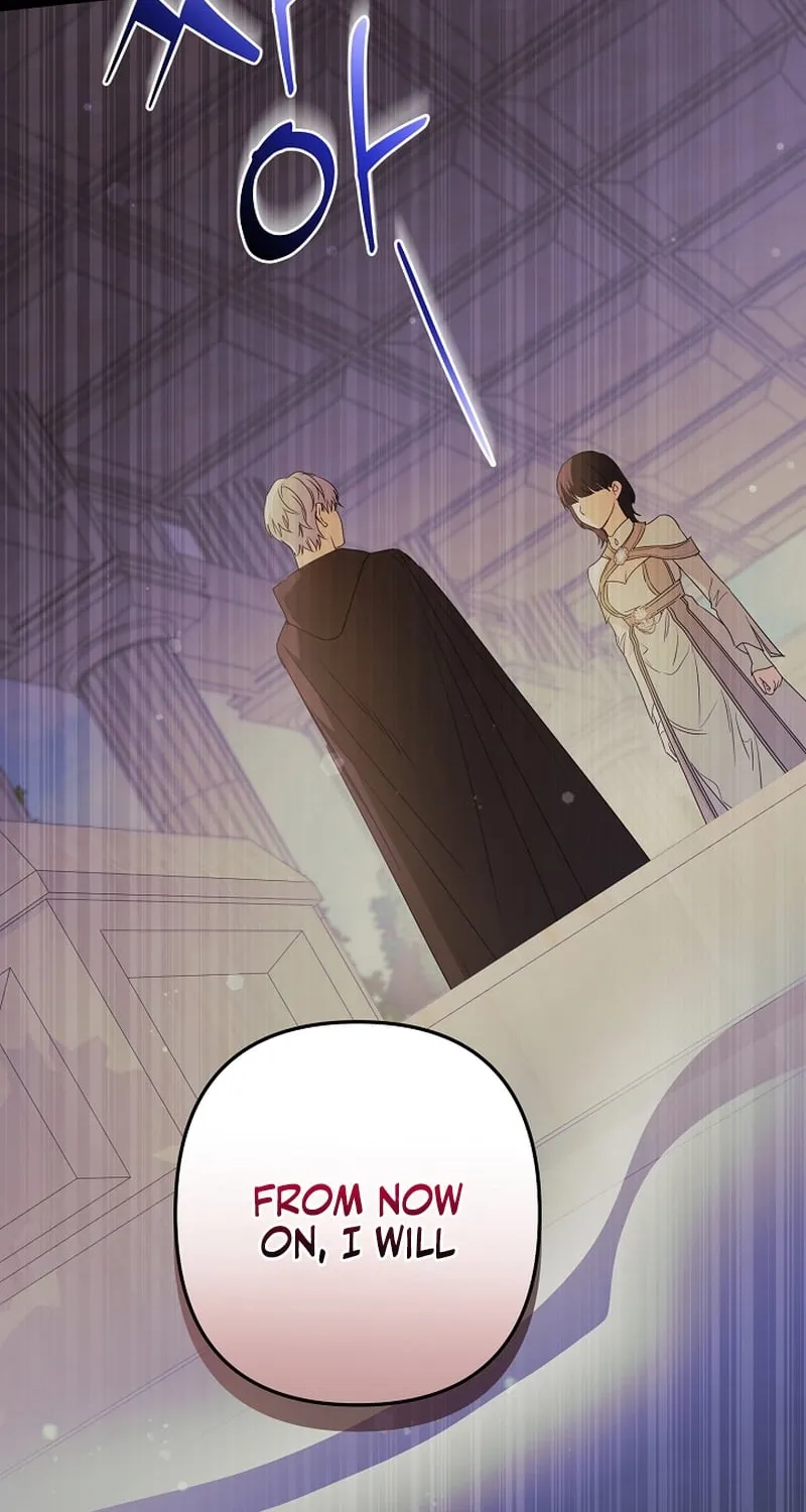 I Want a Divorce, Please Stop Obsessing Over Me! Chapter 45 page 95 - 