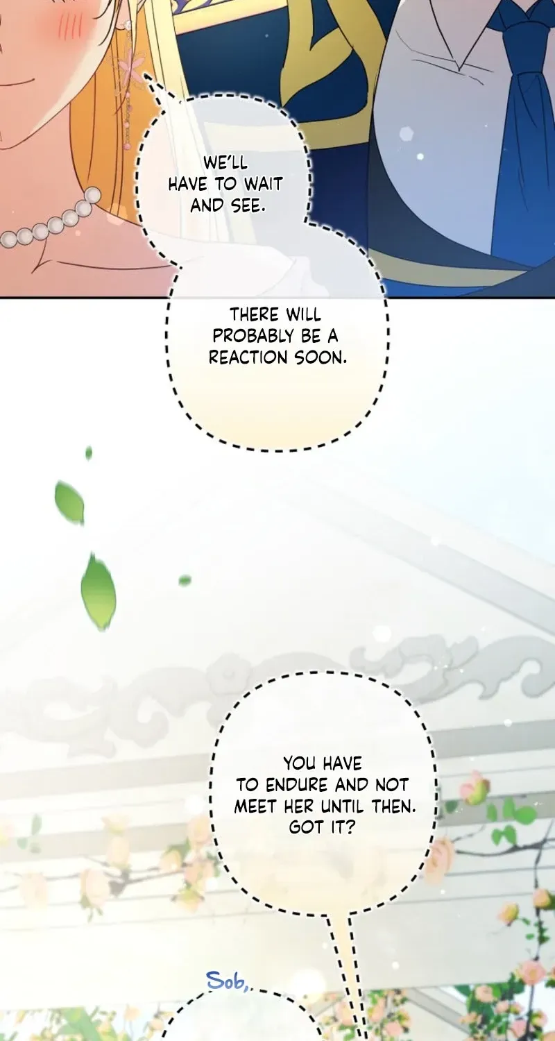 I Want a Divorce, Please Stop Obsessing Over Me! Chapter 47 page 103 - 