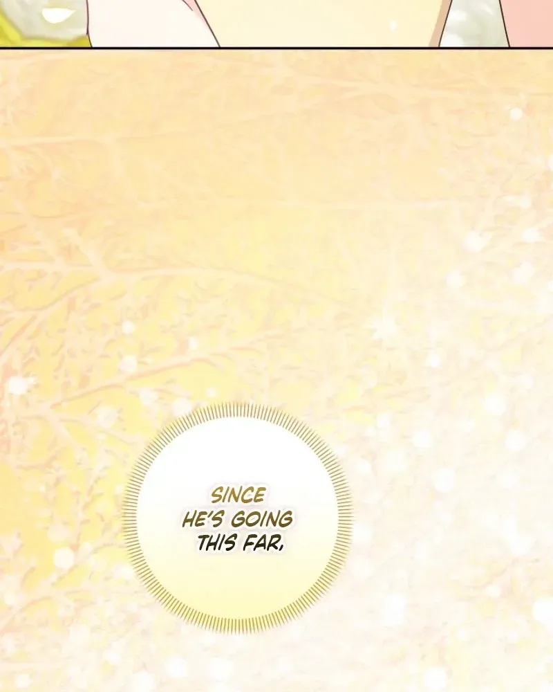 I Want a Divorce, Please Stop Obsessing Over Me! Chapter 47 page 46 - 