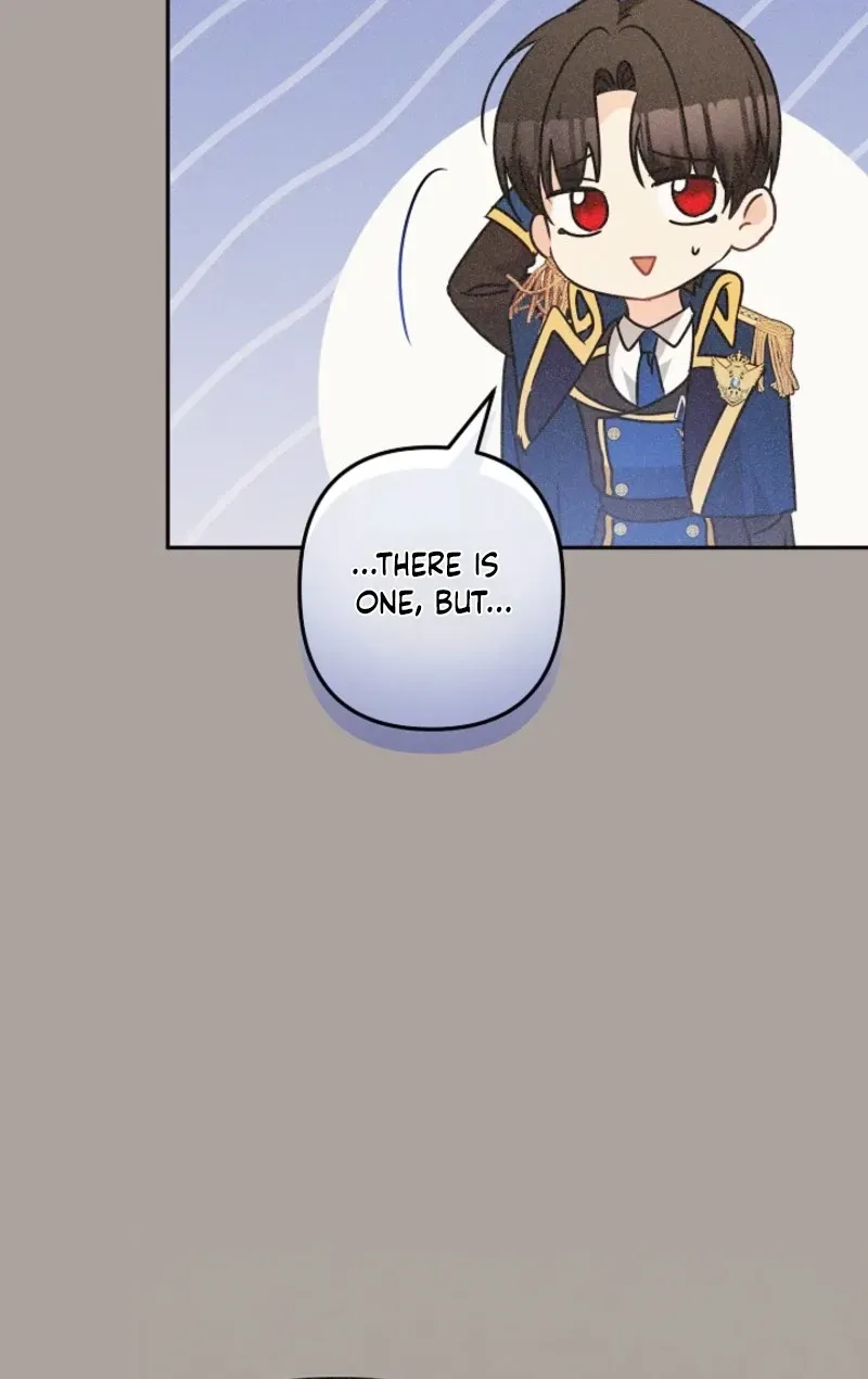 I Want a Divorce, Please Stop Obsessing Over Me! Chapter 47 page 79 - 