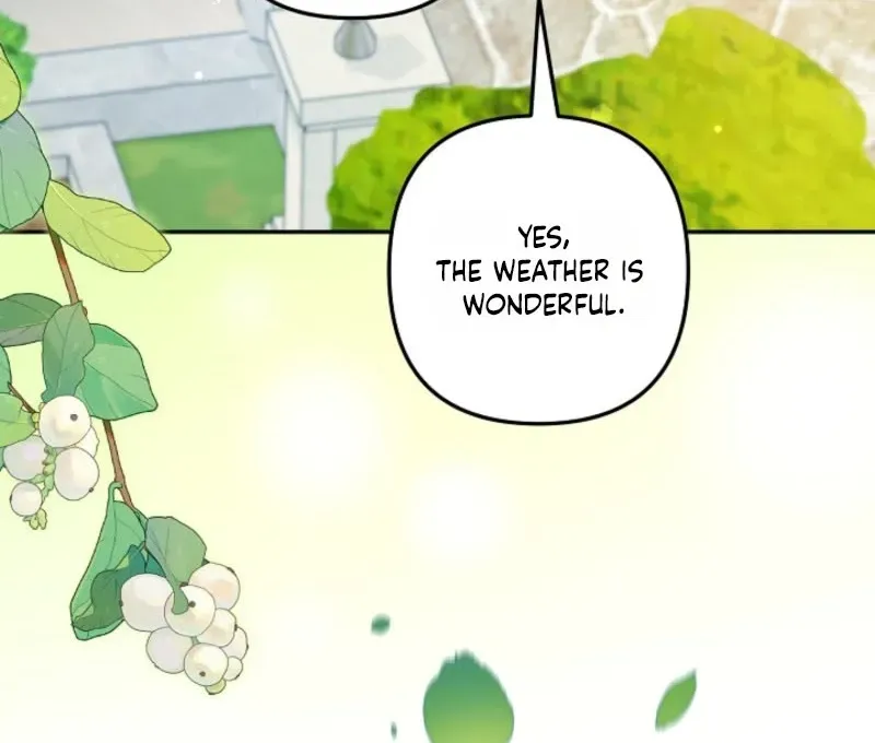 I Want a Divorce, Please Stop Obsessing Over Me! Chapter 47 page 95 - 