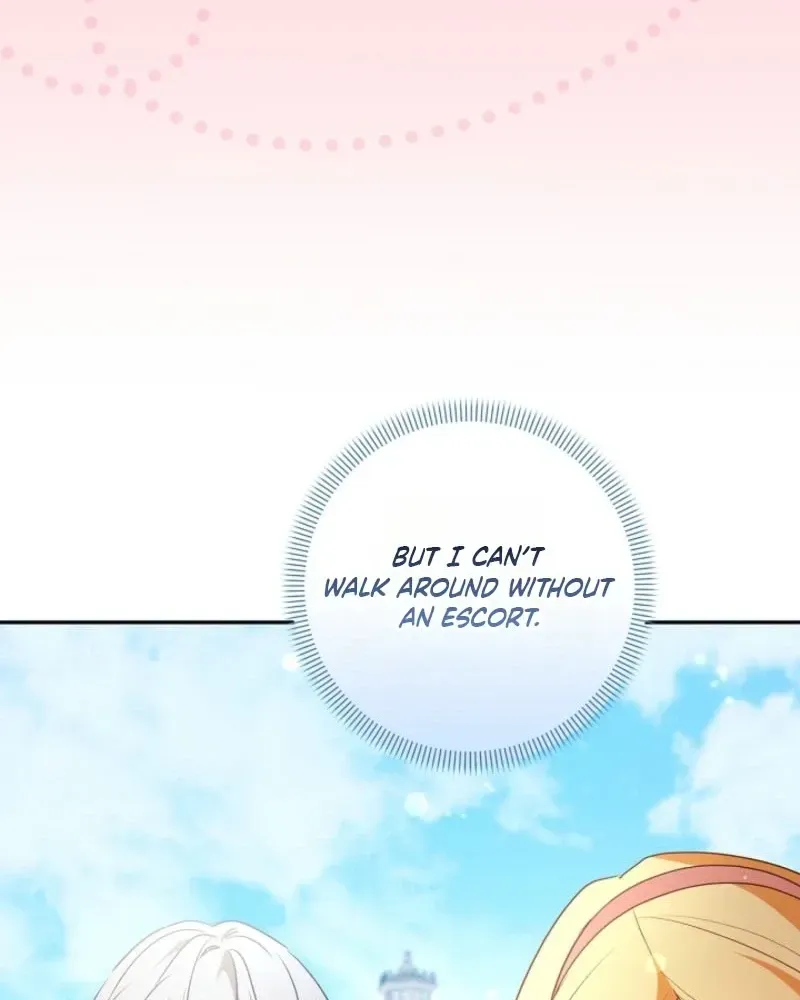 I Want a Divorce, Please Stop Obsessing Over Me! Chapter 48 page 63 - 