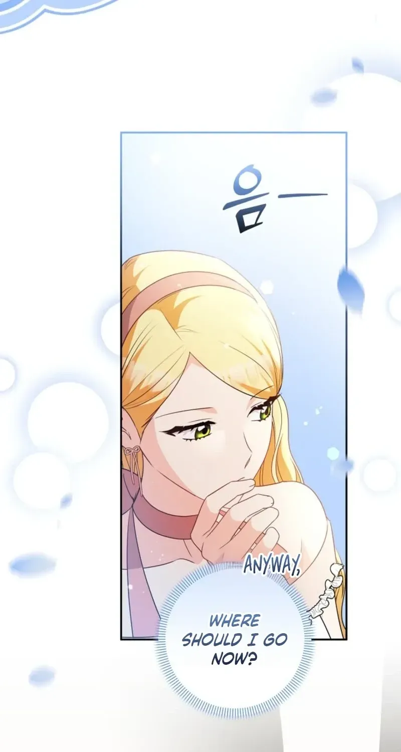I Want a Divorce, Please Stop Obsessing Over Me! Chapter 48 page 91 - 