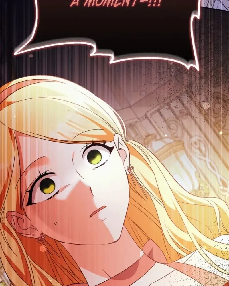 I Want a Divorce, Please Stop Obsessing Over Me! Chapter 48 page 99 - 