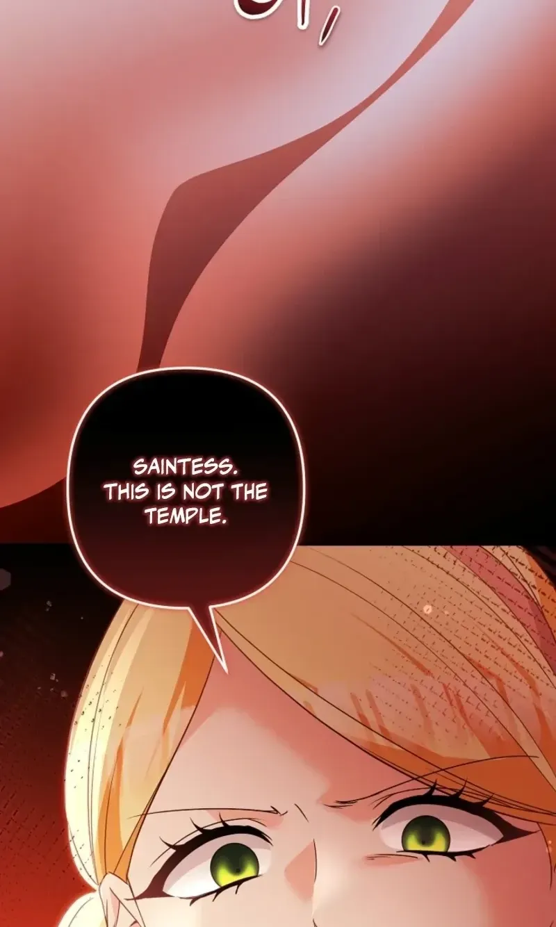 I Want a Divorce, Please Stop Obsessing Over Me! Chapter 49 page 14 - 