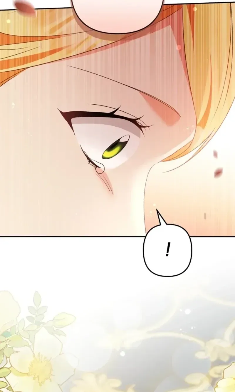 I Want a Divorce, Please Stop Obsessing Over Me! Chapter 49 page 52 - 
