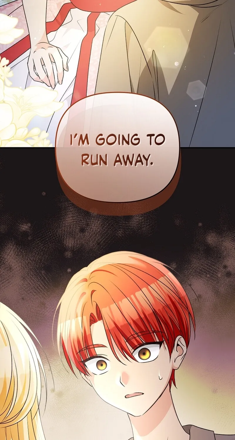 I Want a Divorce, Please Stop Obsessing Over Me! Chapter 5 page 3 - 