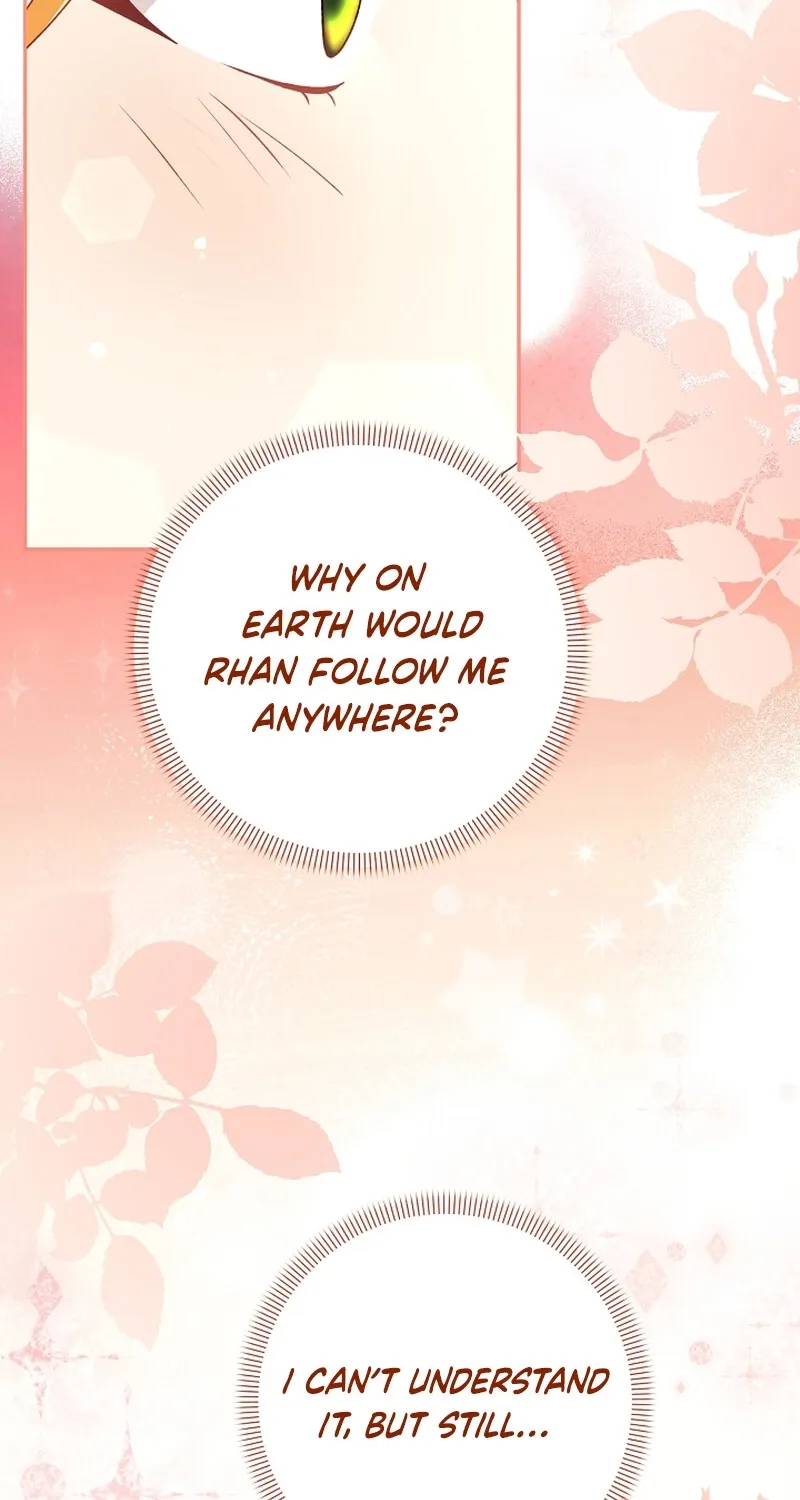 I Want a Divorce, Please Stop Obsessing Over Me! Chapter 5 page 42 - 