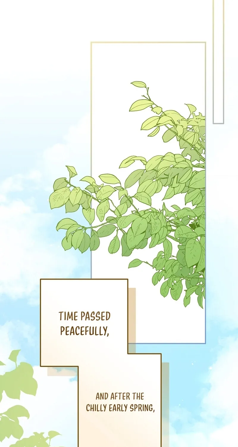 I Want a Divorce, Please Stop Obsessing Over Me! Chapter 5 page 51 - 