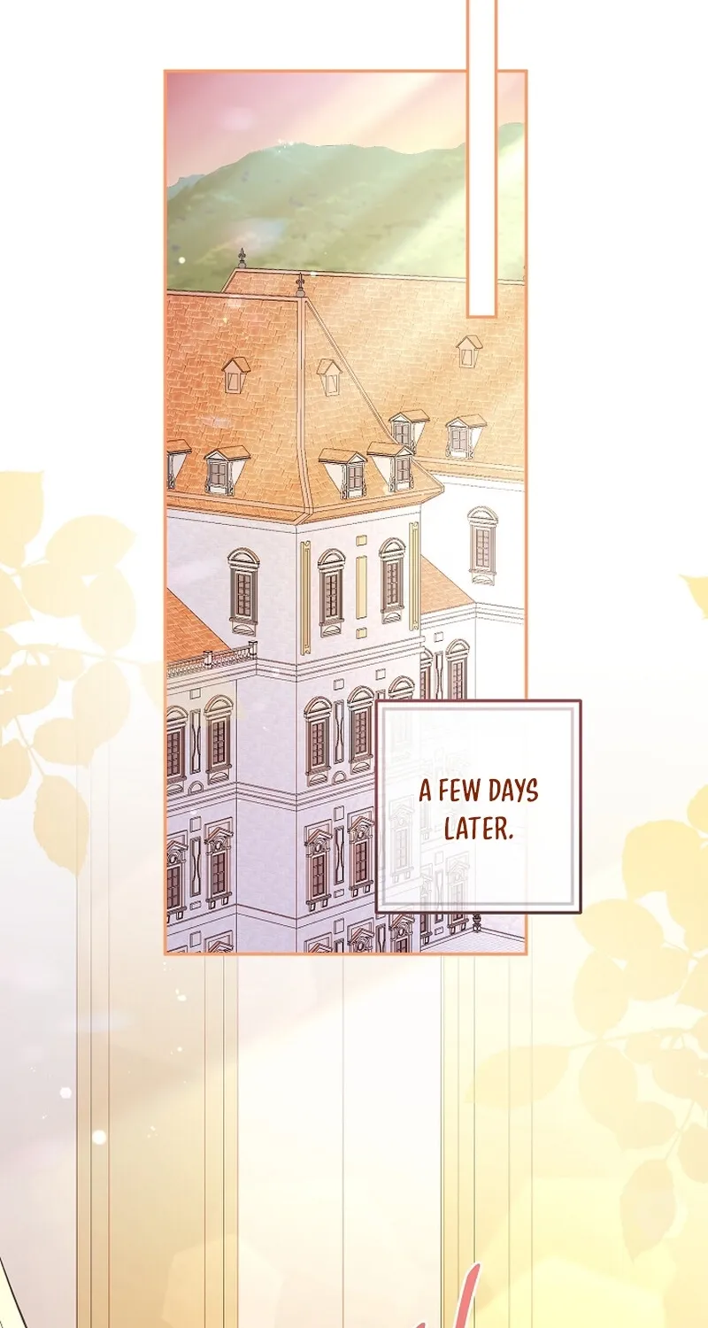 I Want a Divorce, Please Stop Obsessing Over Me! Chapter 5 page 69 - 