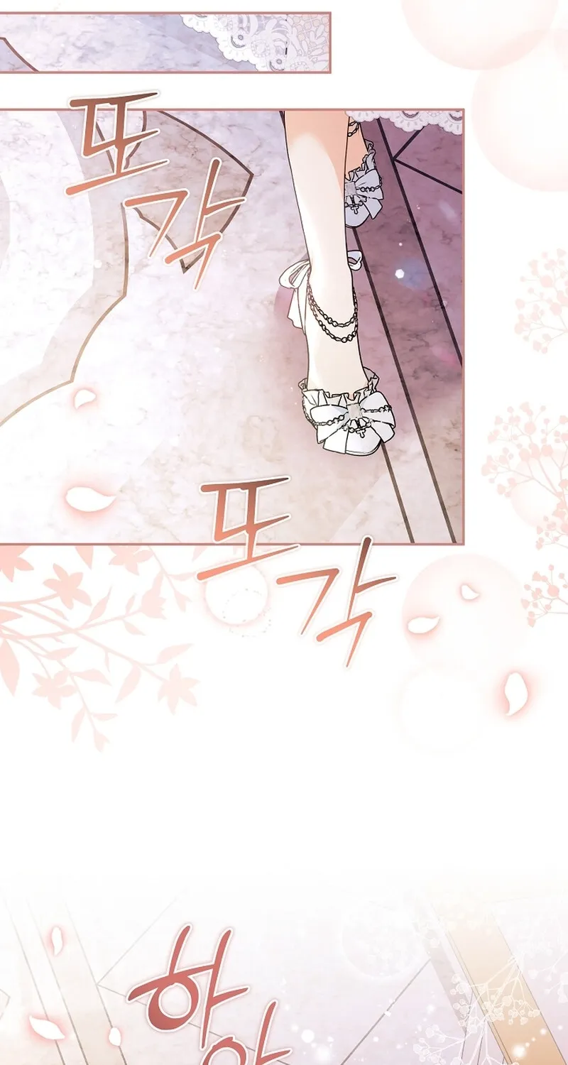 I Want a Divorce, Please Stop Obsessing Over Me! Chapter 5 page 75 - 
