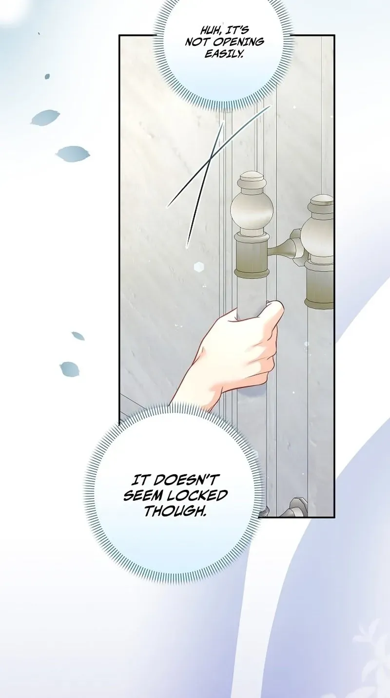 I Want a Divorce, Please Stop Obsessing Over Me! Chapter 50 page 71 - 