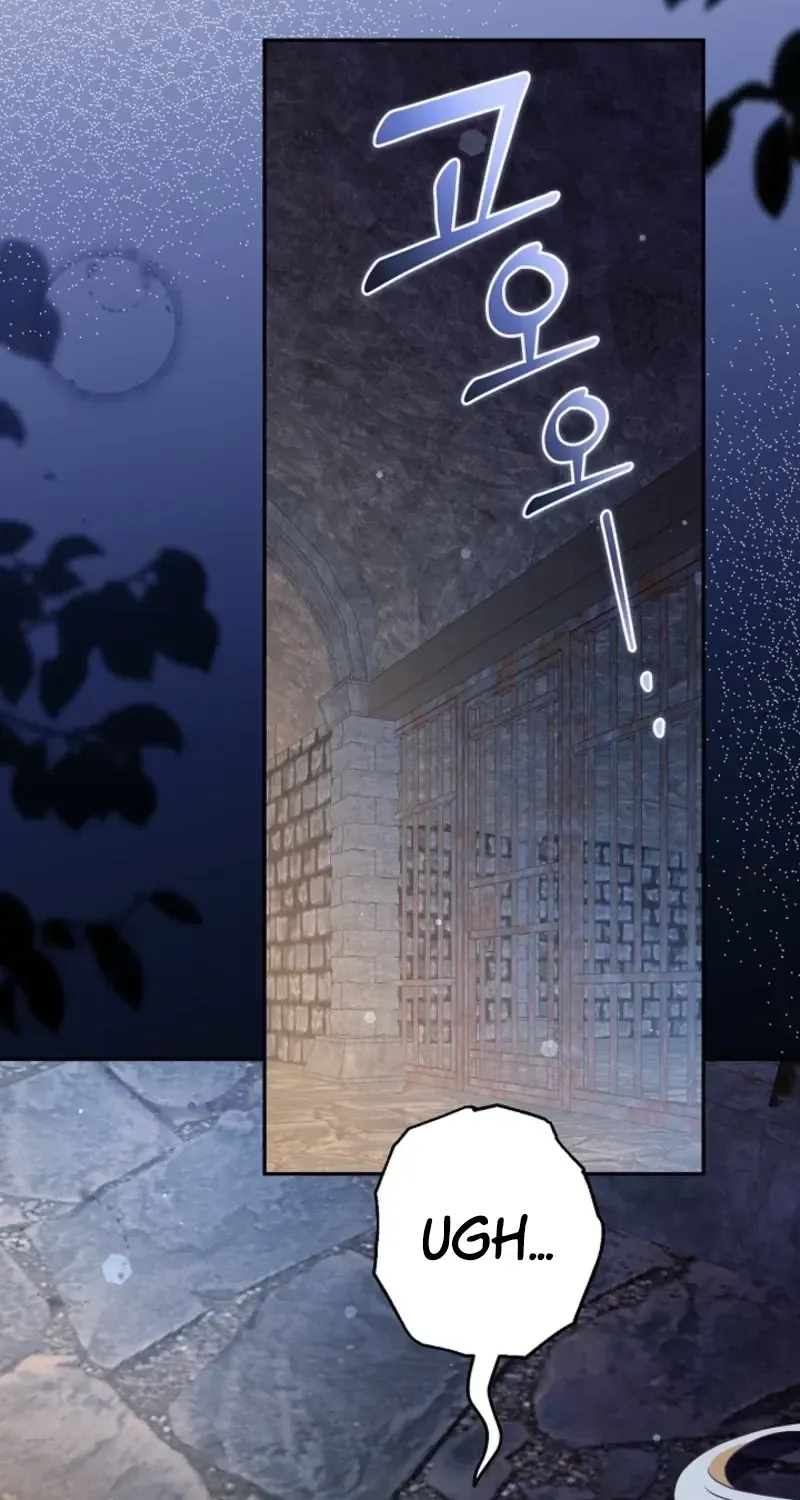 I Want a Divorce, Please Stop Obsessing Over Me! Chapter 51 page 8 - 