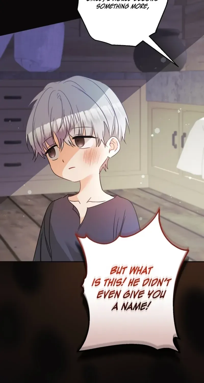 I Want a Divorce, Please Stop Obsessing Over Me! Chapter 51 page 87 - 